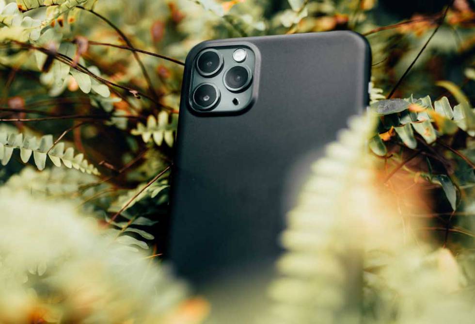 iPhone 14 entre plantas