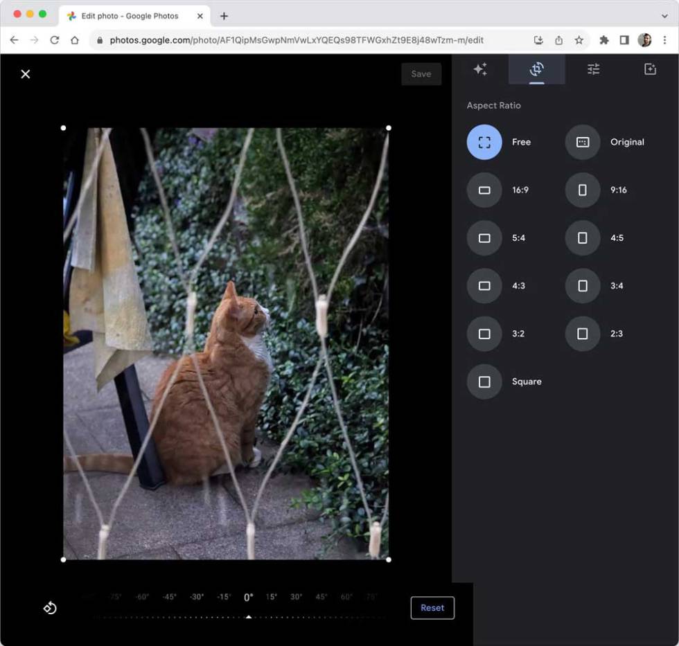 Nuevas opciones de edición en Google Fotos