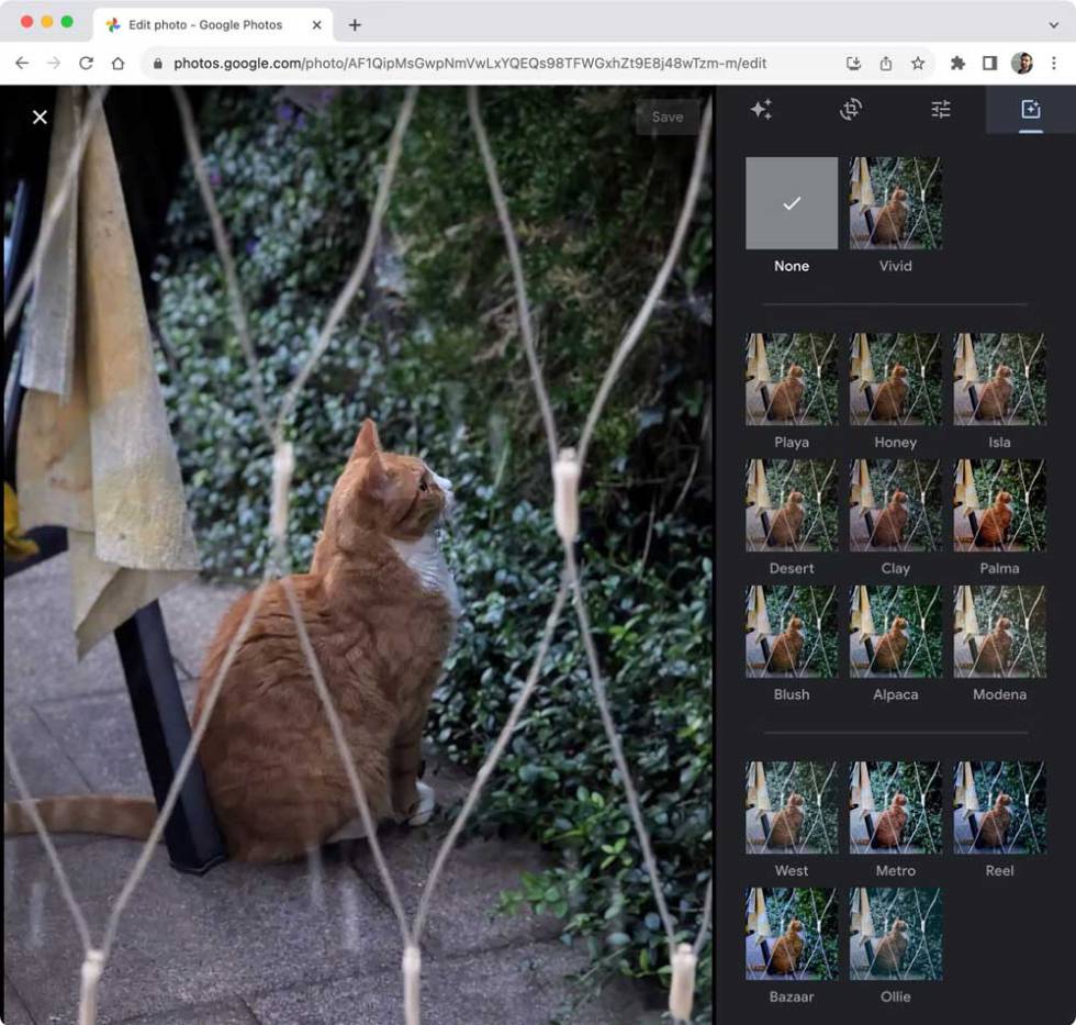 Opciones de edición nuevas en Google Fotos