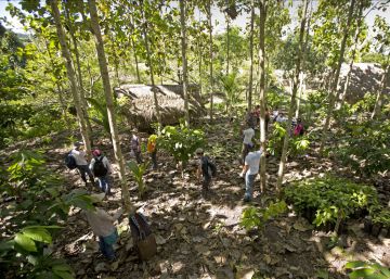Miembros del proyecto Ecosia y agricultores que están plantando árboles en Perú.