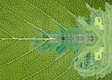 El centinela agroclimático que lo ve todo (y te lo explica)