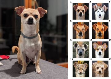 Perro real y sus 'alter ego' generados por GANimal