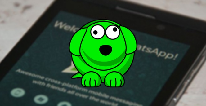 WhatsDog, la aplicación para espiar a tus contactos de WhatsApp, no es tan  fiable como prometen | Lifestyle | Cinco Días