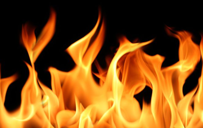 C mo Proteger Tu Dispositivo M vil O Port til Del Calor Del Verano 