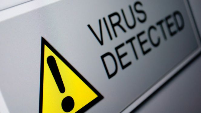 Bazele Informaticii Virusi Si Antivirusi