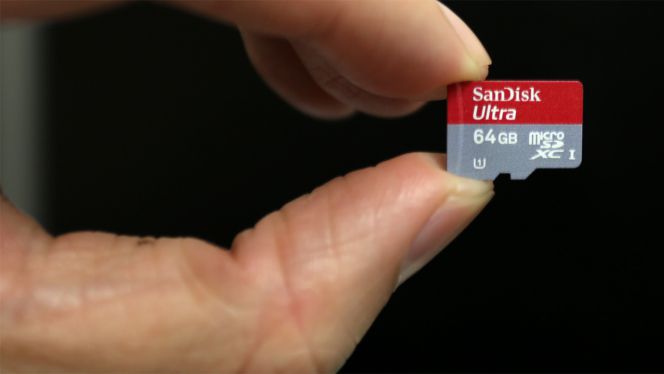 triatlón Larva del moscardón Tratar Los errores más frecuentes con las tarjetas micro SD y su solución |  Lifestyle | Cinco Días