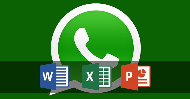 uno Canguro Caramelo WhatsApp ya es compatible con documentos Word, Excel y PowerPoint |  Smartphones | Cinco Días