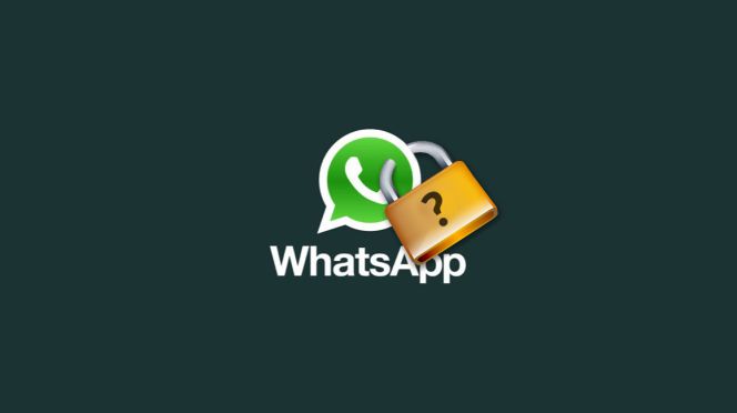 ¿Cómo espiar WhatsApp?