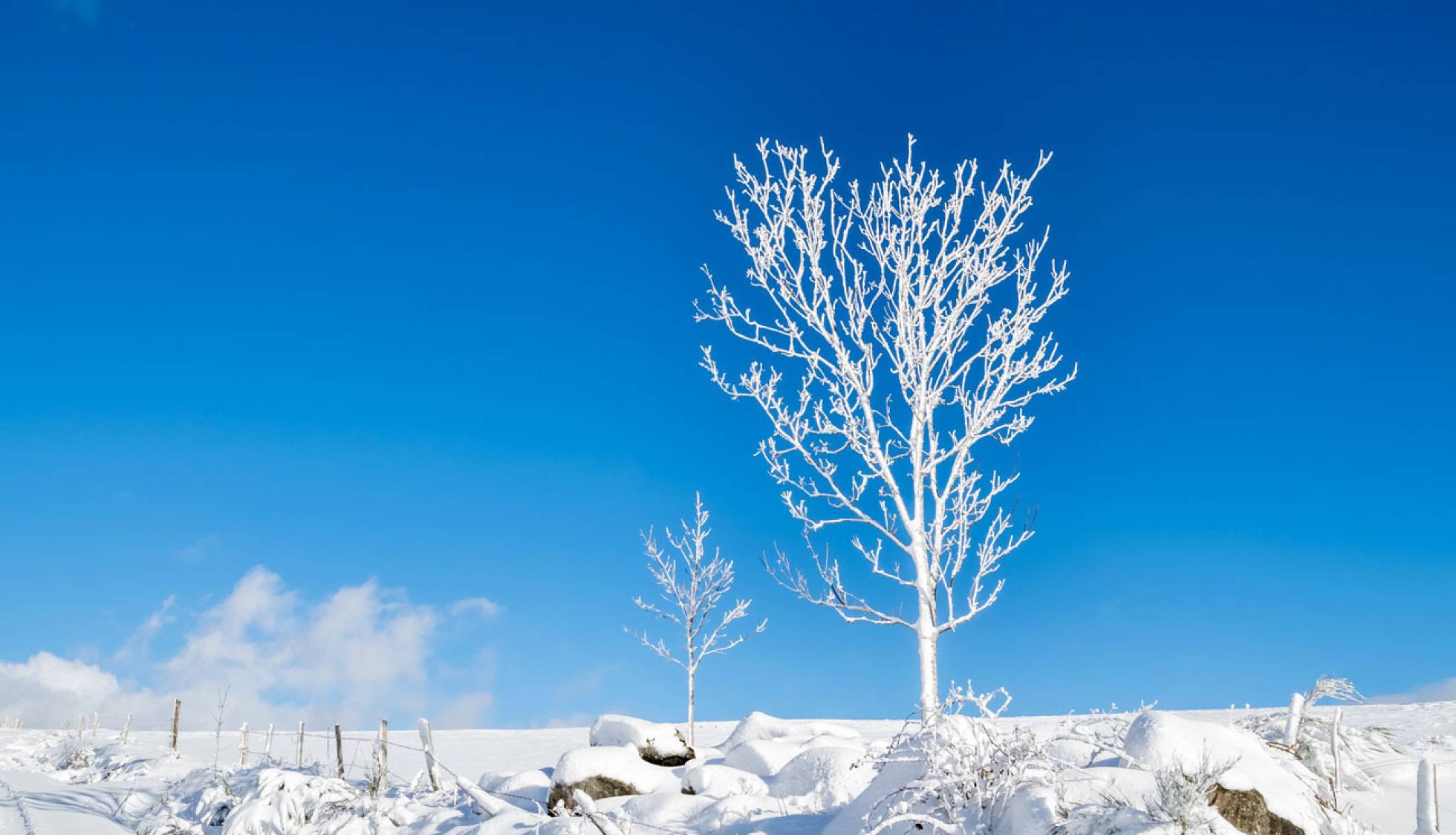 Recibe el invierno con fondos de pantalla para el móvil o el PC