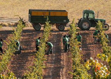 Valladolid se alía con Renfe para dar a conocer los vinos de la región
