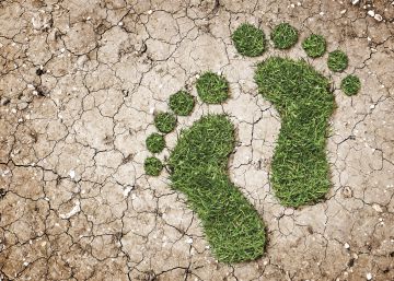 El registro de la huella de carbono: hoy voluntario, mañana obligatorio