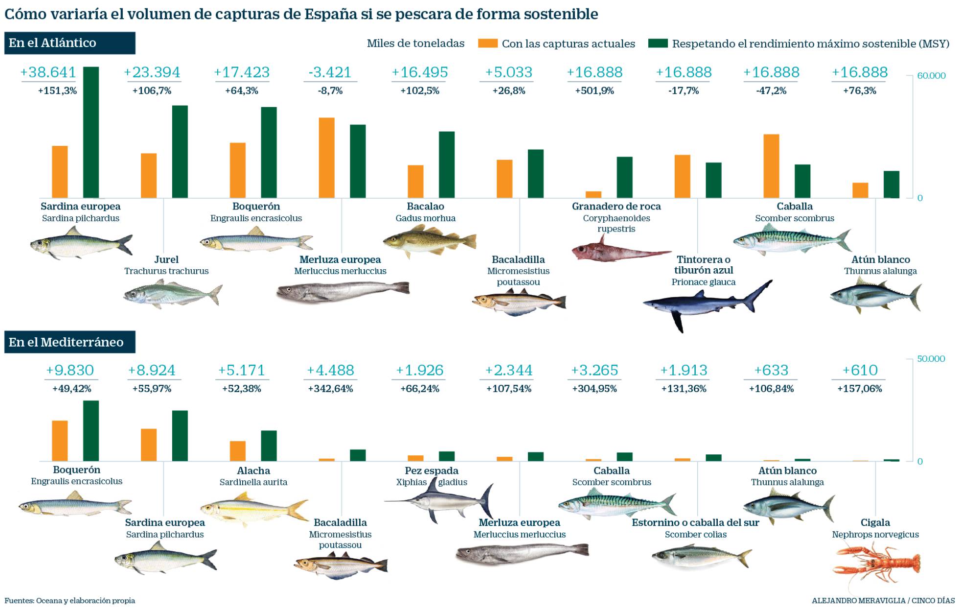 La pesca sostenible, un negocio redondo Compañías Cinco Días