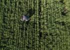 Aerial view of a Argentinian farmer Federico Zerboni checking wheat crops at his farm in San Antonio de Areco, Buenos Aires province, Argentina, on October 13, 2018. - Argentina is one of the world main producers of cereals, oleaginous and agroindustrial products, and the number one exporter of flour and soy oil. After the worst drought in decades, the sector announces a record harvest by the end of the year, which could be the key for the economic reactivation of the country. (Photo by IVAN PISARENKO AFP)
