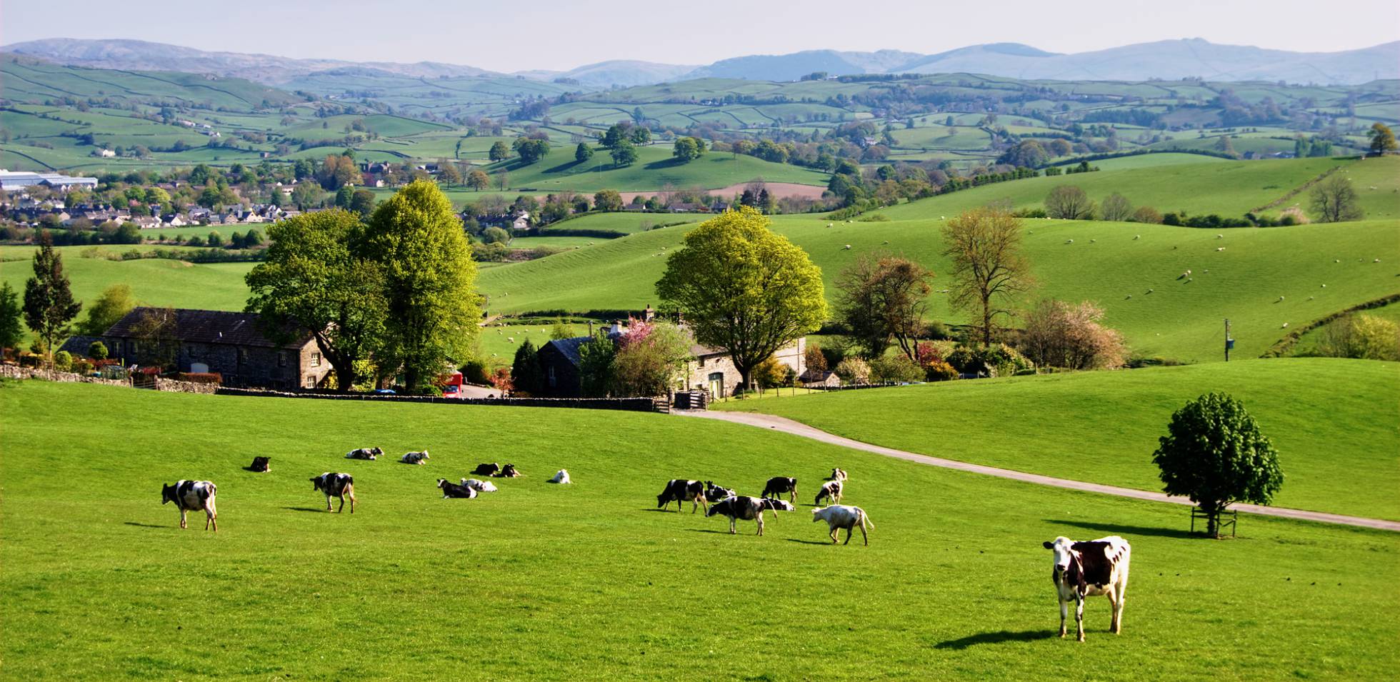 Llega la Red de ayuntamientos rurales emprendedores Emprendedores
