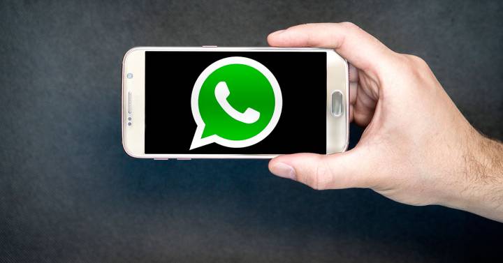 dueña Adaptación Cuarto WhatsApp: cómo desactivar la descarga automática de fotos | Lifestyle |  Cinco Días