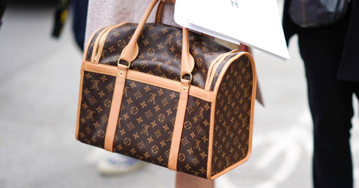 petróleo crudo ángel Distinción Este bolso de Louis Vuitton cuenta con dos pantallas AMOLED | Gadgets |  Cinco Días