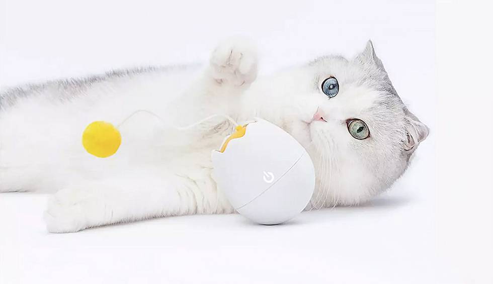 Xiaomi lanza un juguete para gato y una batería modular multiusos | Gadgets | Cinco Días