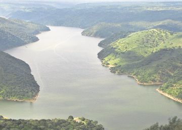 Las empresas empiezan a valorar su impacto sobre el capital natural