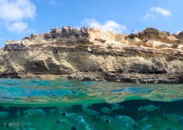 España sin ir más lejos: planes para un verano inolvidable