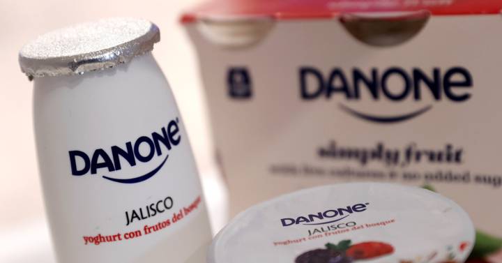 Danone aguanta el tipo y gana 1.015 millones en el primer semestre, un 2% menos | Compañías | Cinco Días