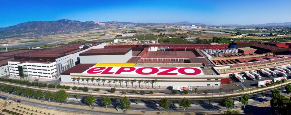 el-pozo-recupera-el-crecimiento-de-ventas-y-alcanza-un-nuevo-r-cord-de