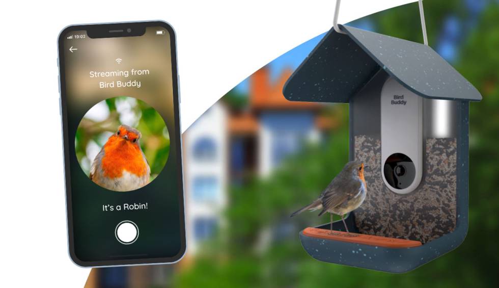 los Elucidación Prever Bird Buddy, el comedero de pájaros inteligente que controlarás con el móvil  | Gadgets | Cinco Días
