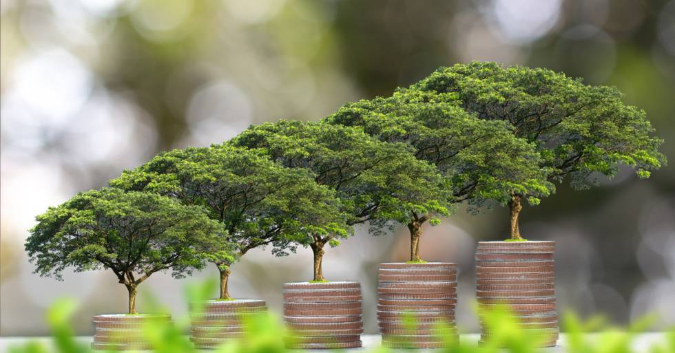 La inversión sostenible se revela como la apuesta del futuro