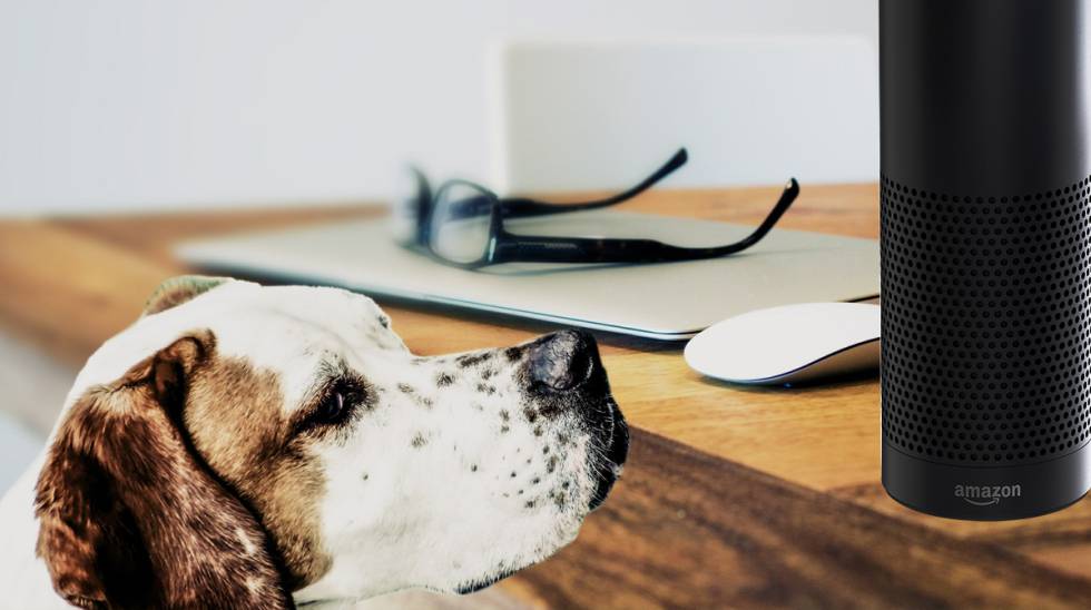 El Amazon Echo puede simular el ruido de un perro ladrando si no estás en casa