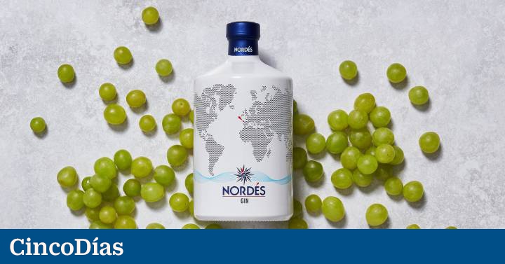 Osborne launches Nordés gin in the US and wants to triple its size in four years |  Companies