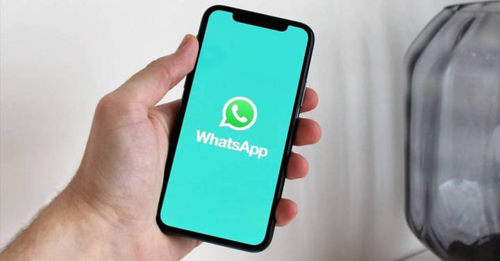 Independiente montaje Lijadoras WhatsApp: cómo encontrar archivos compartidos con un contacto | Lifestyle |  Cinco Días