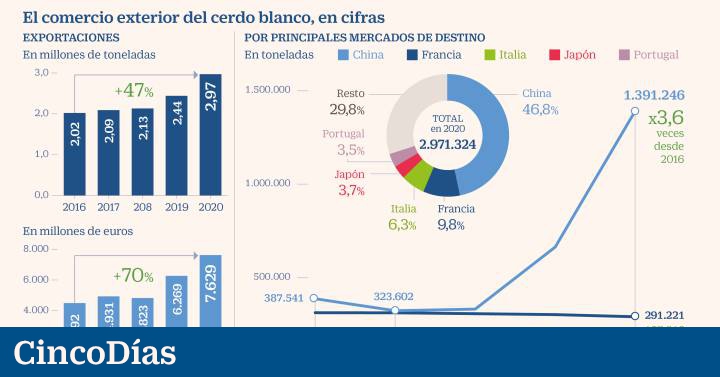 China already buys as much white pig from Spain as the 27 EU countries together |  Companies