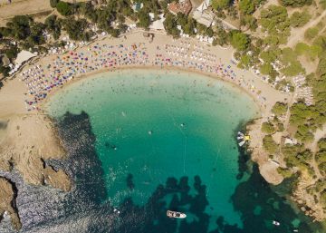 Compre su billete, ¡los viajes están de vuelta!