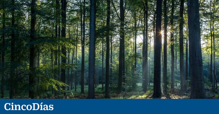 Un motor para impulsar la economía verde | Compañías - Vimarsana News