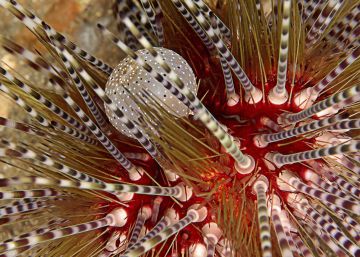 El gasto en I+D, aún lejos de la meta deseada