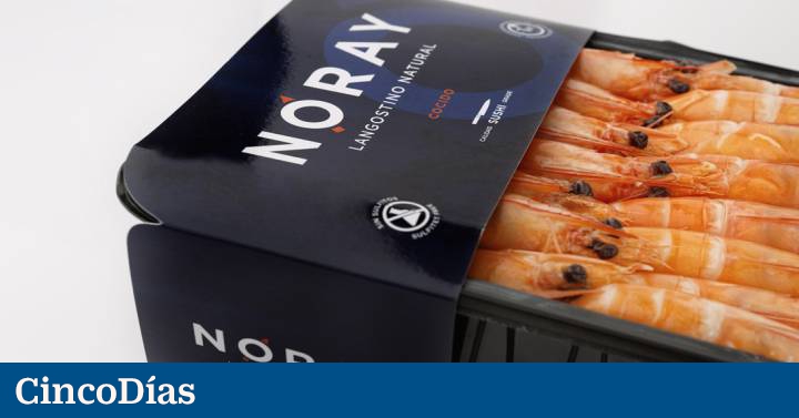 Noray Seafood raises 16 million to increase shrimp farming fivefold in Valladolid