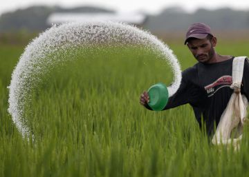 La crisis de los fertilizantes rusos cultiva un mundo de sufrimiento