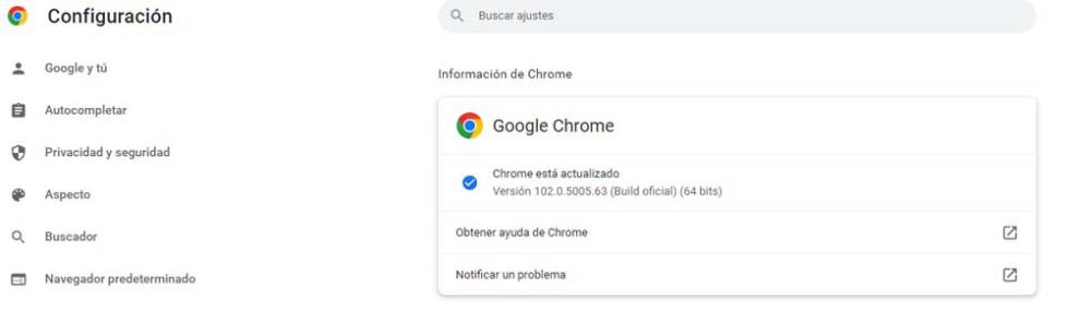 Google Chrome browser version