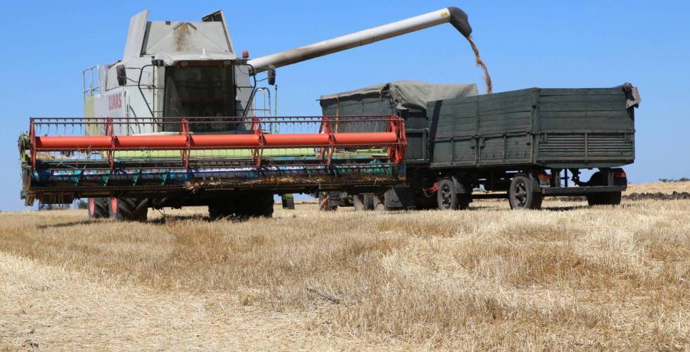 Ucrania y Rusia llegan a un acuerdo para la exportación de cereales |  Economía | Cinco Días