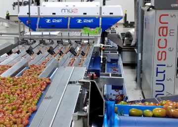 Multiscan Technologies, máquinas que clasifican y seleccionan el mejor alimento