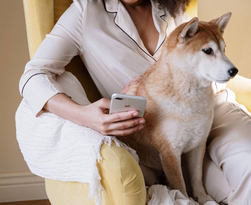 Girl using iPhone with a dog next to her
