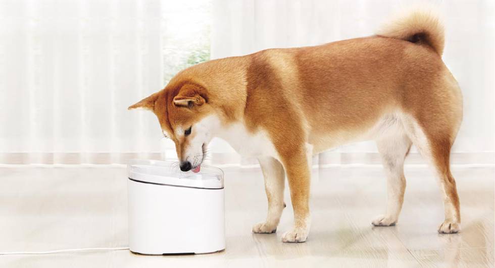 Xiaomi Smart Pet Fountain Drinker