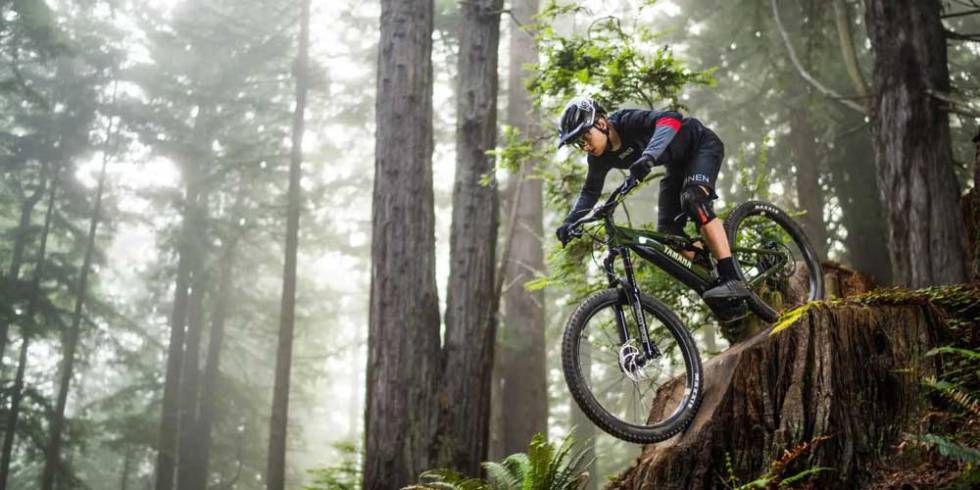 New eBike yamaha YDX-MORO 05 on top of a tree