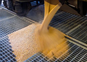 España recibe un tren con 600 toneladas de maíz de Ucrania tras completar un proyecto piloto