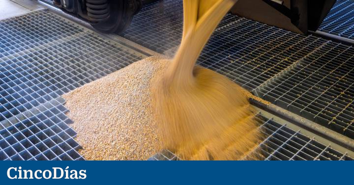 Hiszpania otrzymuje pociąg przewożący 600 ton kukurydzy z Ukrainy po zakończeniu projektu pilotażowego |  Gospodarka