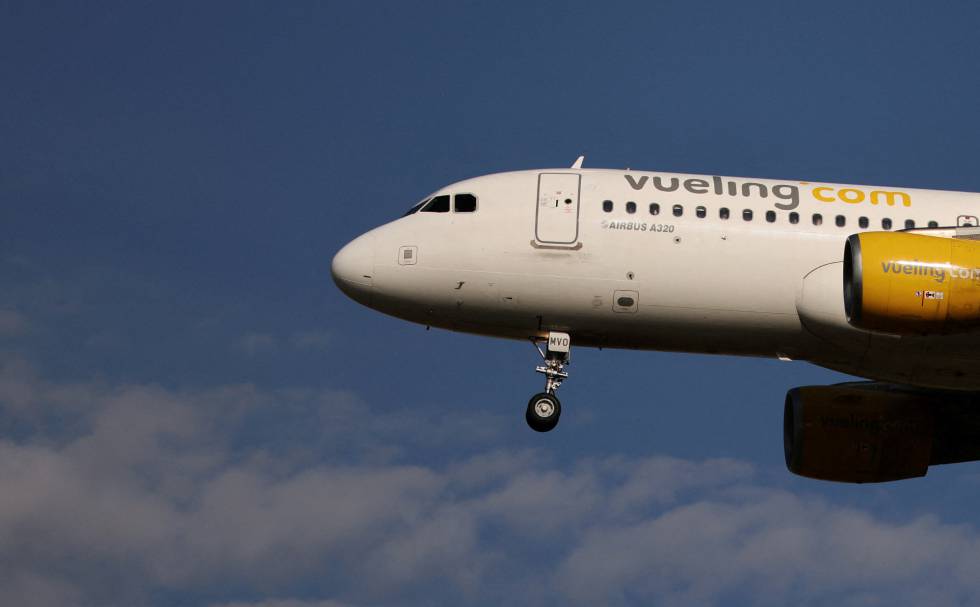 Estadísticas Magnético Estallar Vueling cancela 64 vuelos este domingo por la huelga de tripulantes de  cabina | Compañías | Cinco Días