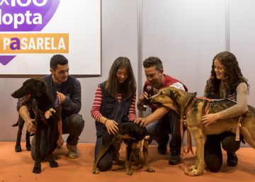 El sector de los animales de compañía espera facturar 2.500 millones este año