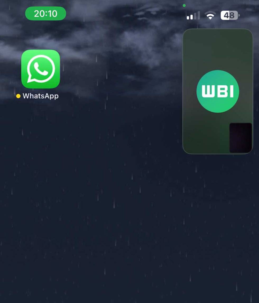Screen in WhatsApp video calls