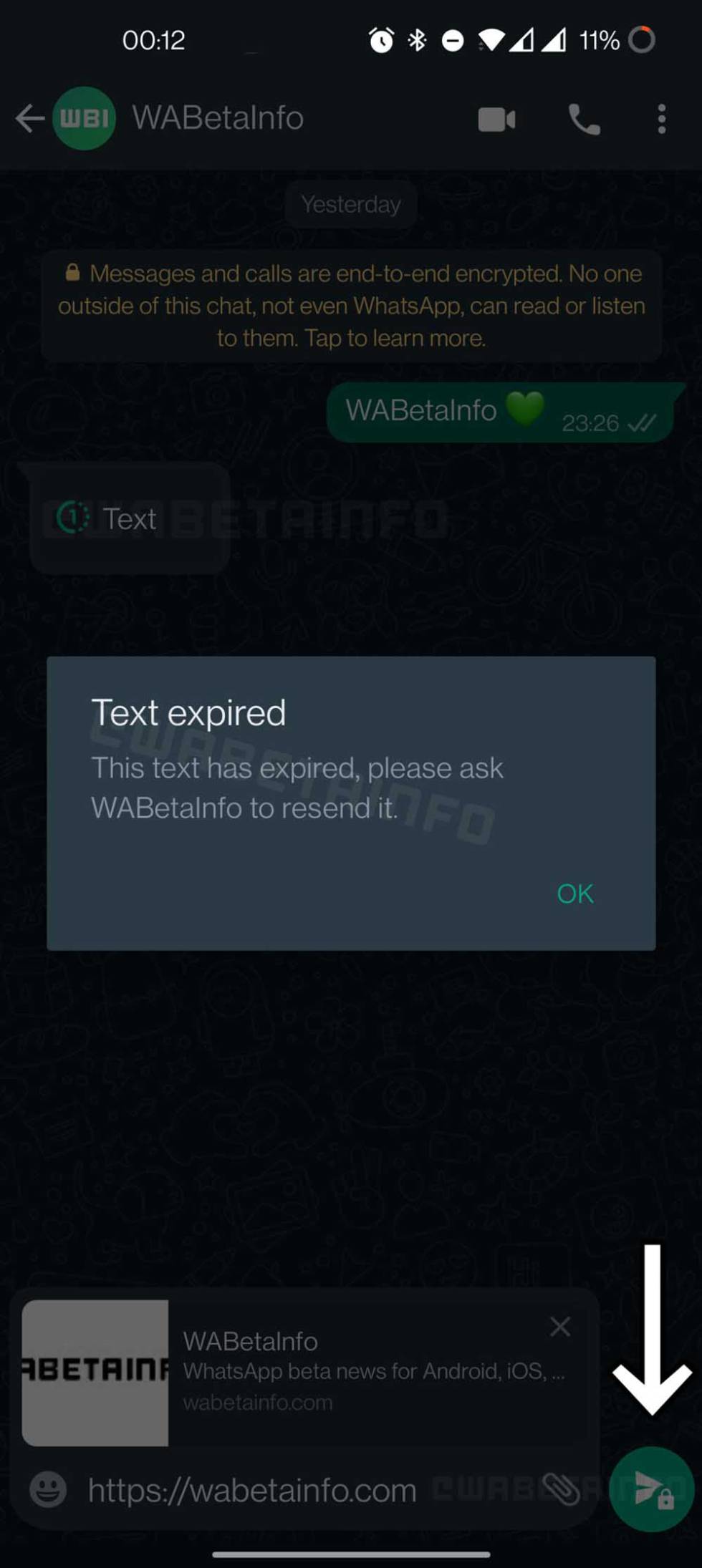 View once function for text on WhatsApp