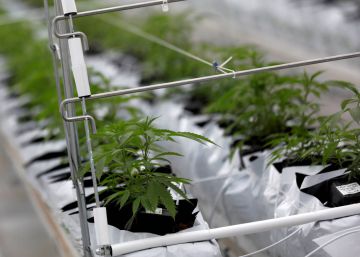 Fumar porros en el trabajo puede justificar el despido, aunque no afecte negativamente al servicio