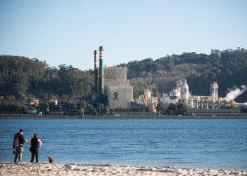 l Supremo dispara el valor y el potencial de Ence: "Mucho más atractiva"